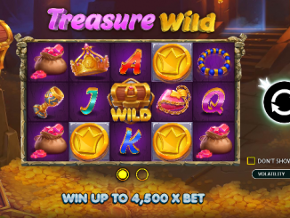 Treasure Wild